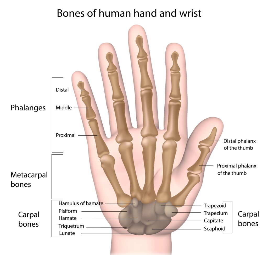 Hand Disorders: Why Early Intervention is Recommended for Pain Relief and Joint Preservation